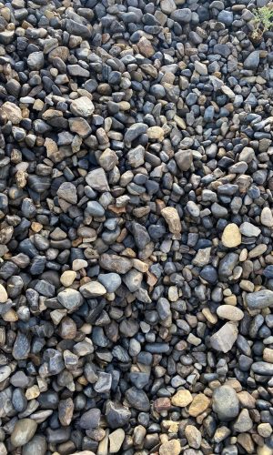 WhatsApp Image 2022-06-19 at 15.23.30