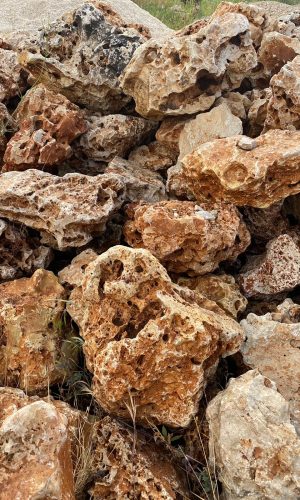 WhatsApp Image 2022-06-19 at 15.23.32