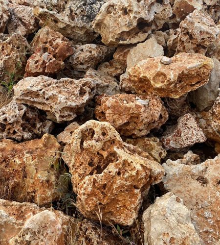 WhatsApp Image 2022-06-19 at 15.23.32